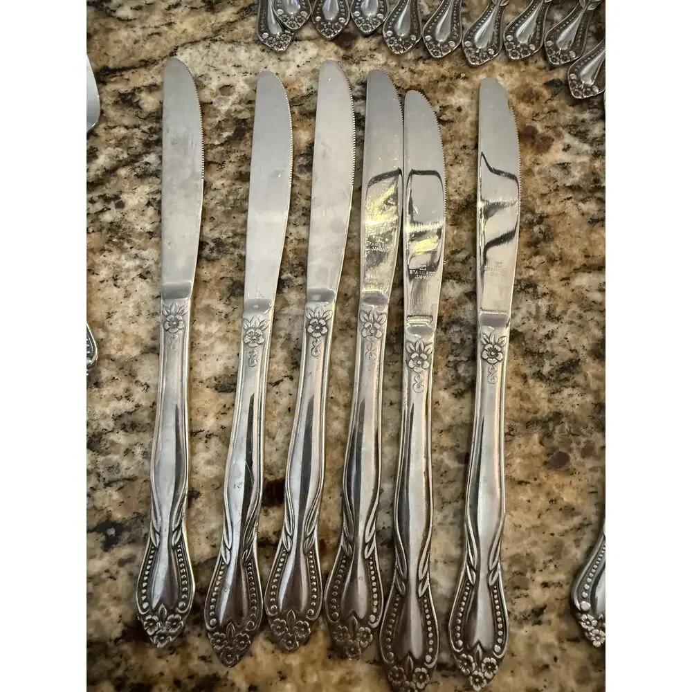 Lifetime Stainless Japan Pierrepont Flatware Mcm Set 42 Pc Service for 6 VTG